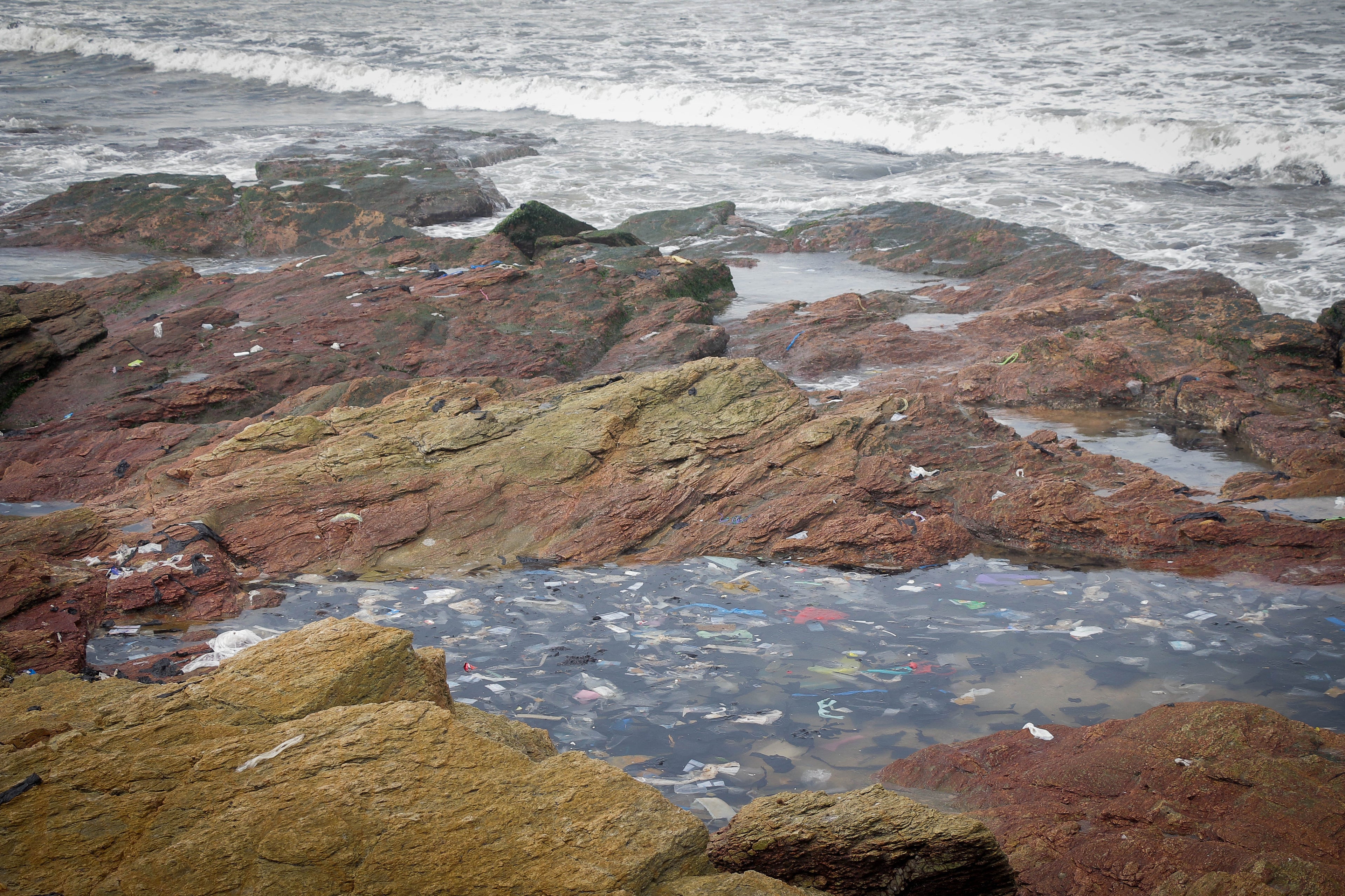 Plastic waste floating in coastal tide pools